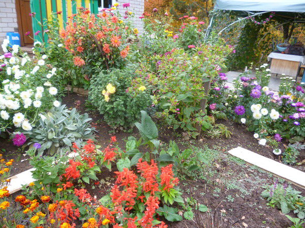 Зухра Зинатуллина