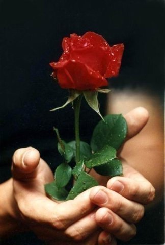 Димка Тюленев