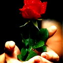 Димка Тюленев