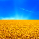 Валентина Сальникова
