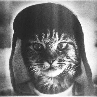 Константин Бадин