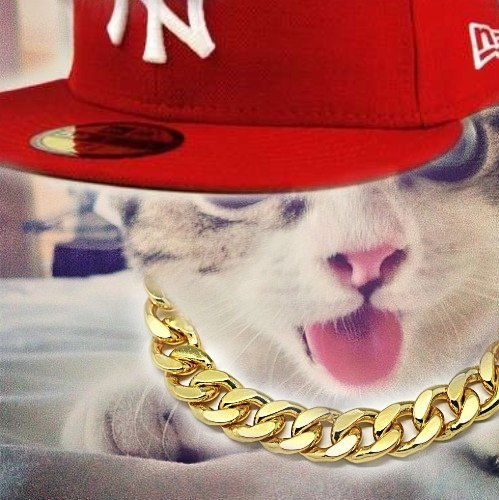 Леха Горохов