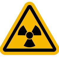 Александра Лучихина