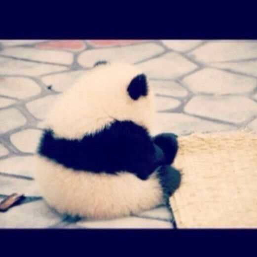 Наталья Хам