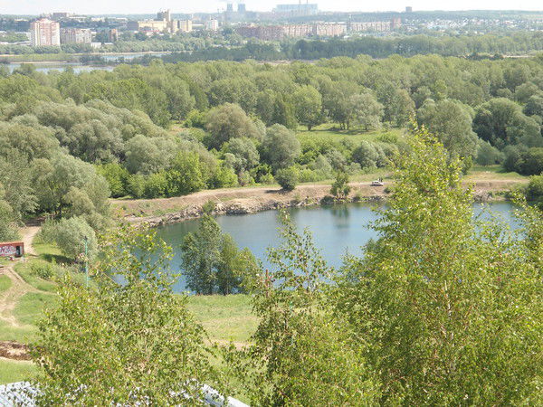 Светлана @@@