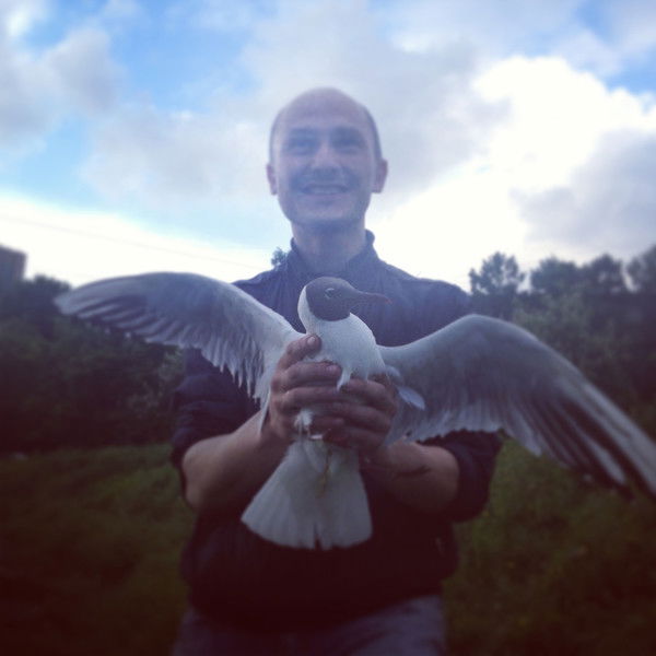 Денис Дорофеев