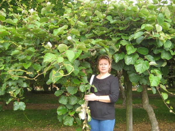 Ольга Коробова