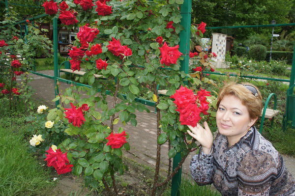 Надежда Шарипова