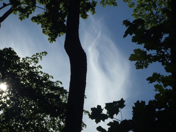 Татьяна Иванова