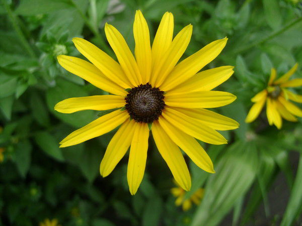 Татьяна Бачурина