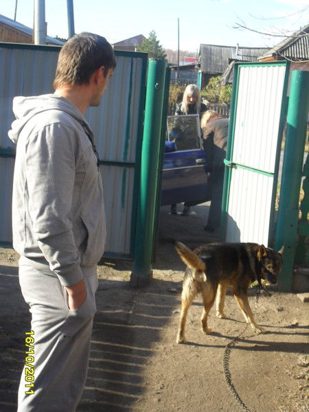 Владимир Гуляев