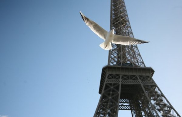 Ирина Борисова