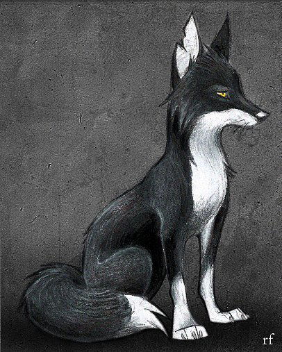 Ксения Андреянова