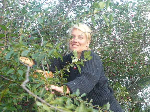 Светлана Поликарпова