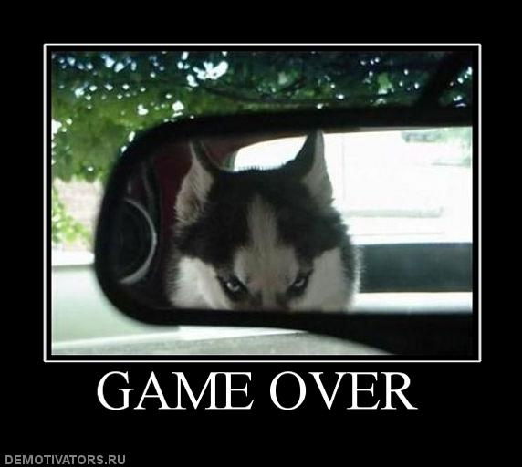 Роман Елисеев