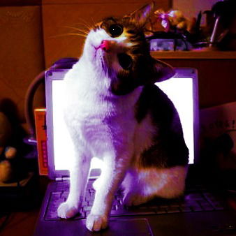 Настя Рубан