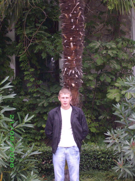 Диман Багров