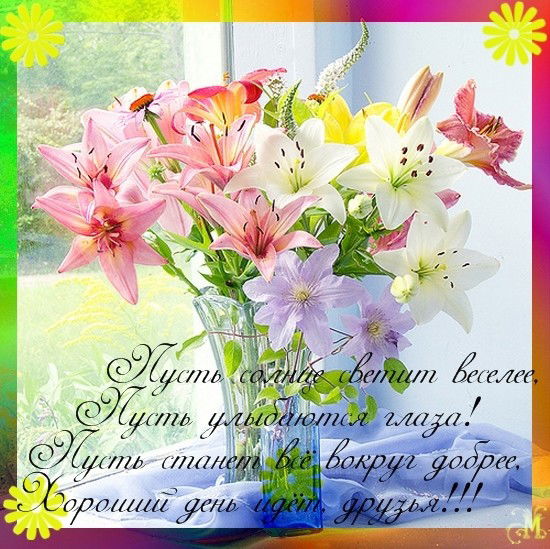 Наталья Сосновская