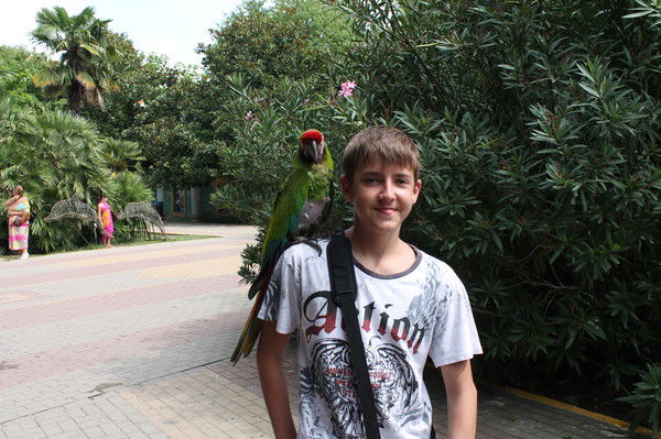 Василий Бандур