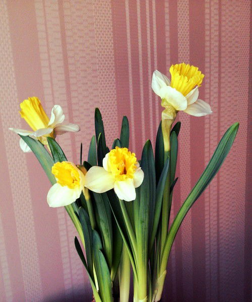 Вилена Унарова