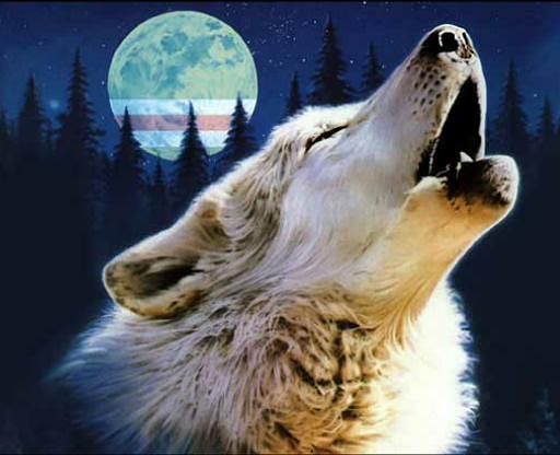 Александр Беликов