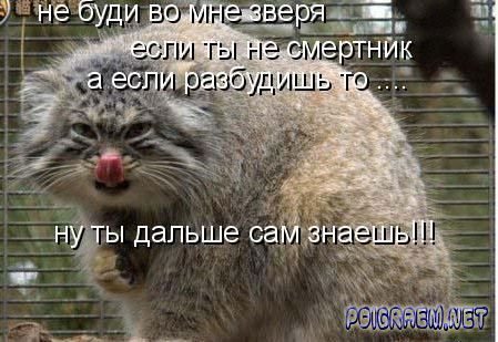 Семён Олейников