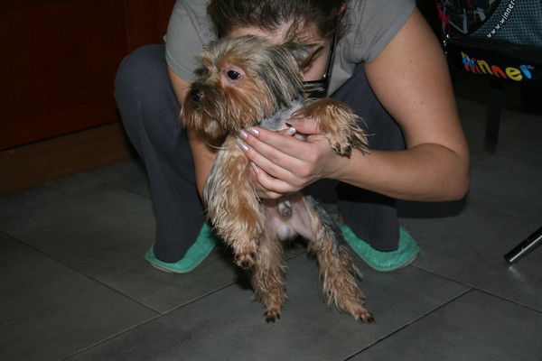 Сергей Костерев