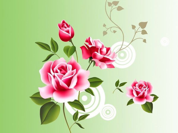 !-!-!.гулмира.!-!-! 96(Kg)