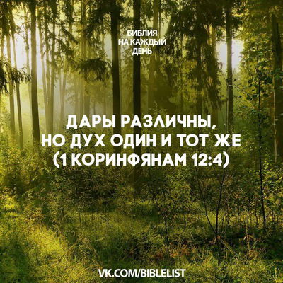 Юрий Калекин