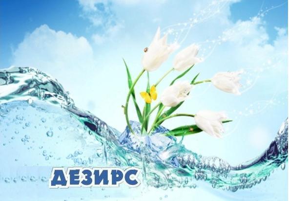 Дезирс Корпорация