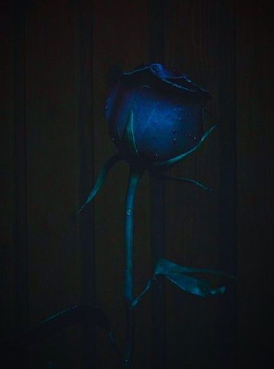 Діма Дейнека