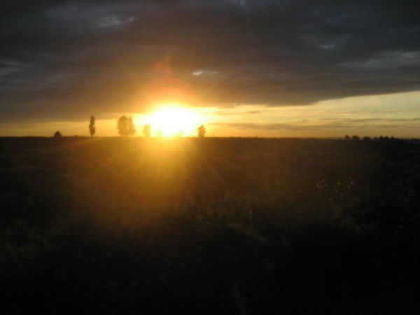 Мария Полева