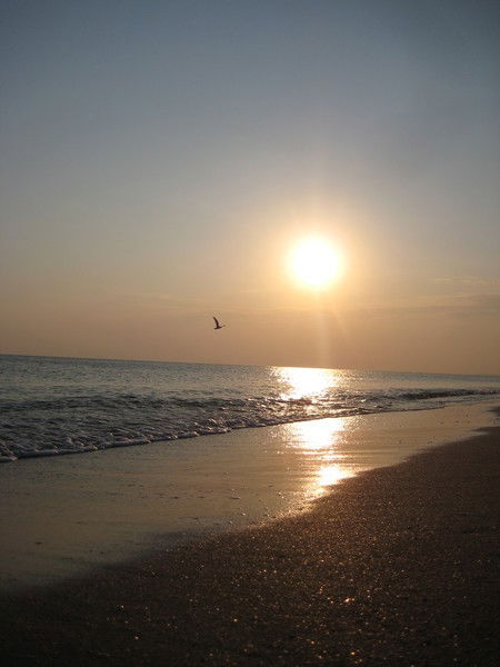 Зульфира Асанова