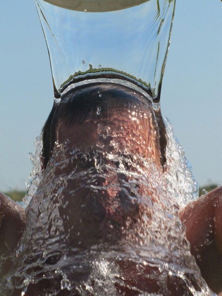 Алмаз Галлямов