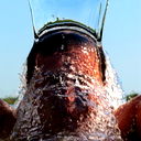 Алмаз Галлямов