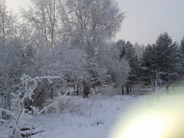 Светлана Серебрякова