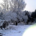Светлана Серебрякова