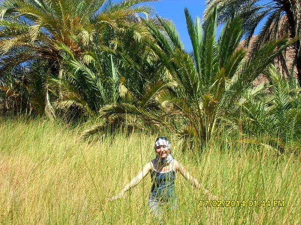 Татьяна Стулова