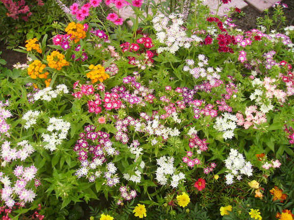 Екатерина Балабко