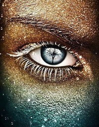 Ильхам Хоснетдинов