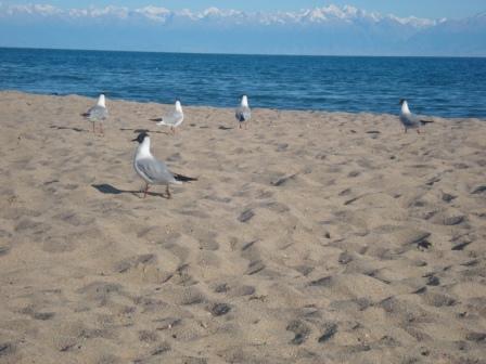 Татьяна Уржумова