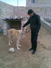 Ерлан Карабалаев