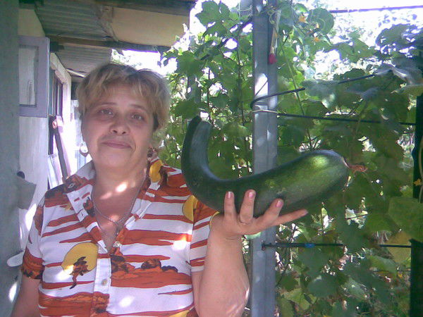 Светлана Вадовская