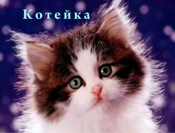 Андрей Январёв