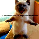 Альфия Сайдашева