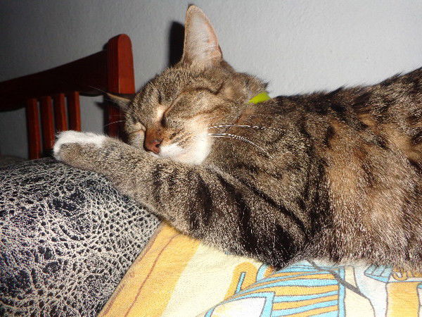 Андрей Ануфриенко