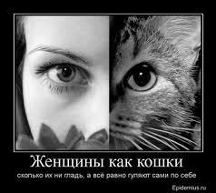 Лейла Гимадеева