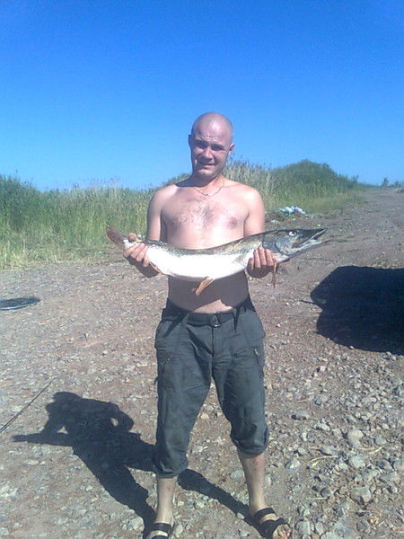 Андрей Соколовский