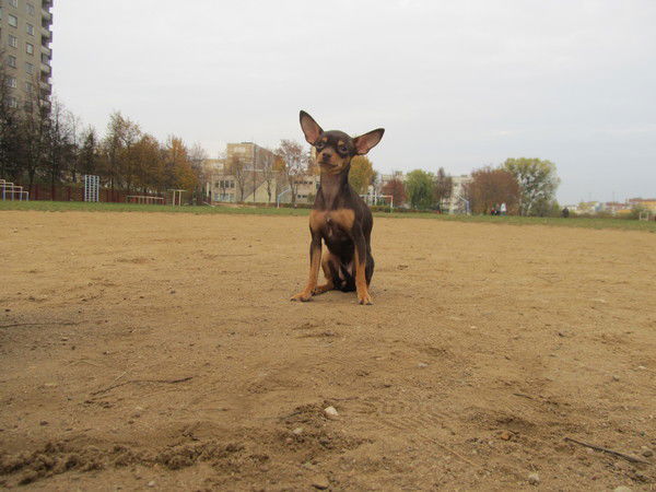 Юрий Горбачик