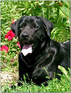 Игорь Бурков